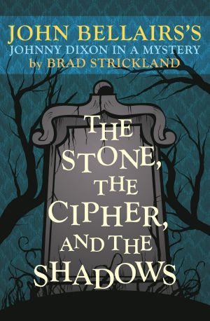 [Johnny Dixon 13] • The Stone, the Cipher, and the Shadows